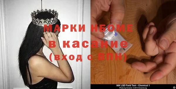 соль ск Новозыбков