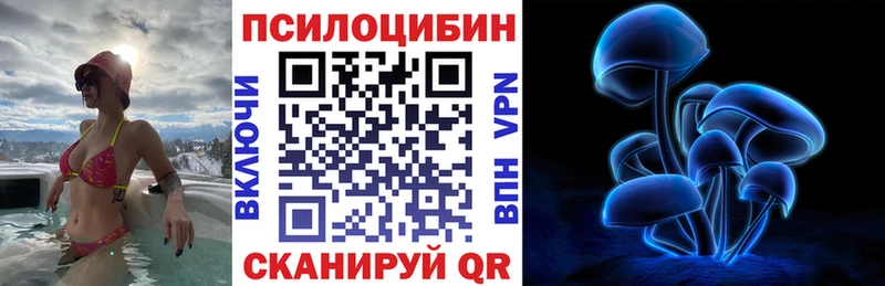 Псилоцибиновые грибы мицелий  Нелидово 